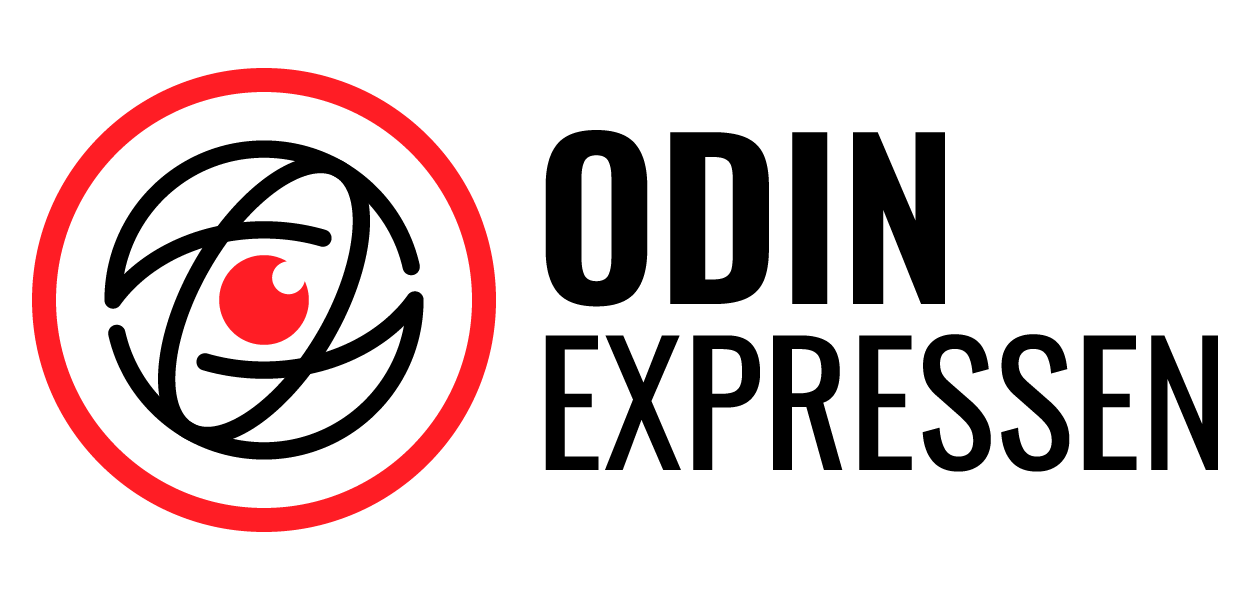 odin e logo2